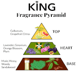 Fragrance Deluxe Size Samples - Set or Singles