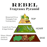 Rebel Fragrance | Creed Aventus