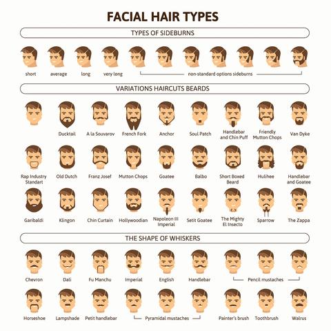 mens facial hair chart