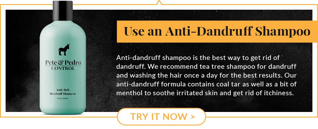 use anti dandruff shampoo graphic