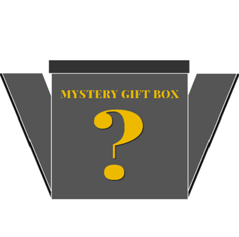 Holiday Mystery Gift Box