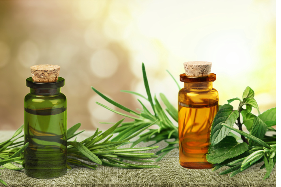 Is Tea Tree Oil Good for Your Hair?